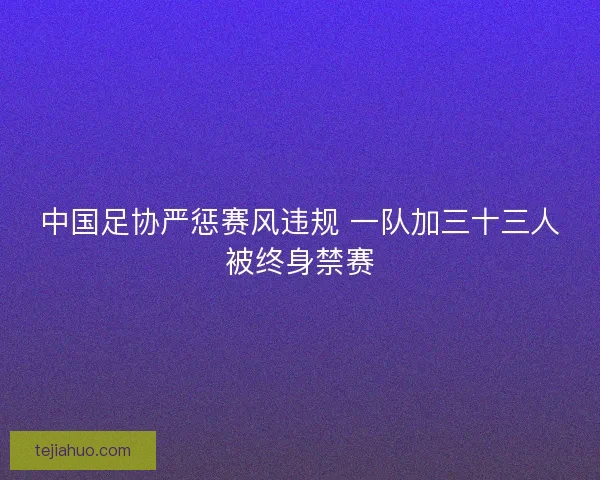 中国足协严惩赛风违规 一队加三十三人被终身禁赛