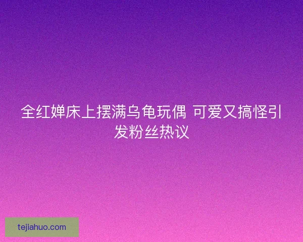 全红婵床上摆满乌龟玩偶 可爱又搞怪引发粉丝热议